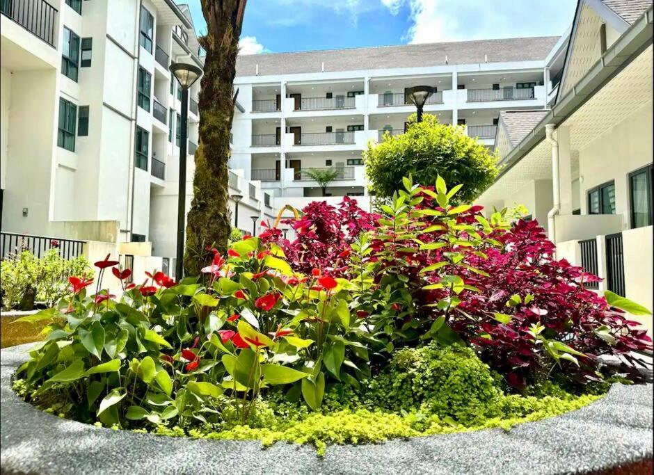 Hello Kitty Homestay - Cameron Highlands - Spacious Studio - Perfect For Families - Sleeps 4 And Baby Tanah Rata Exteriér fotografie